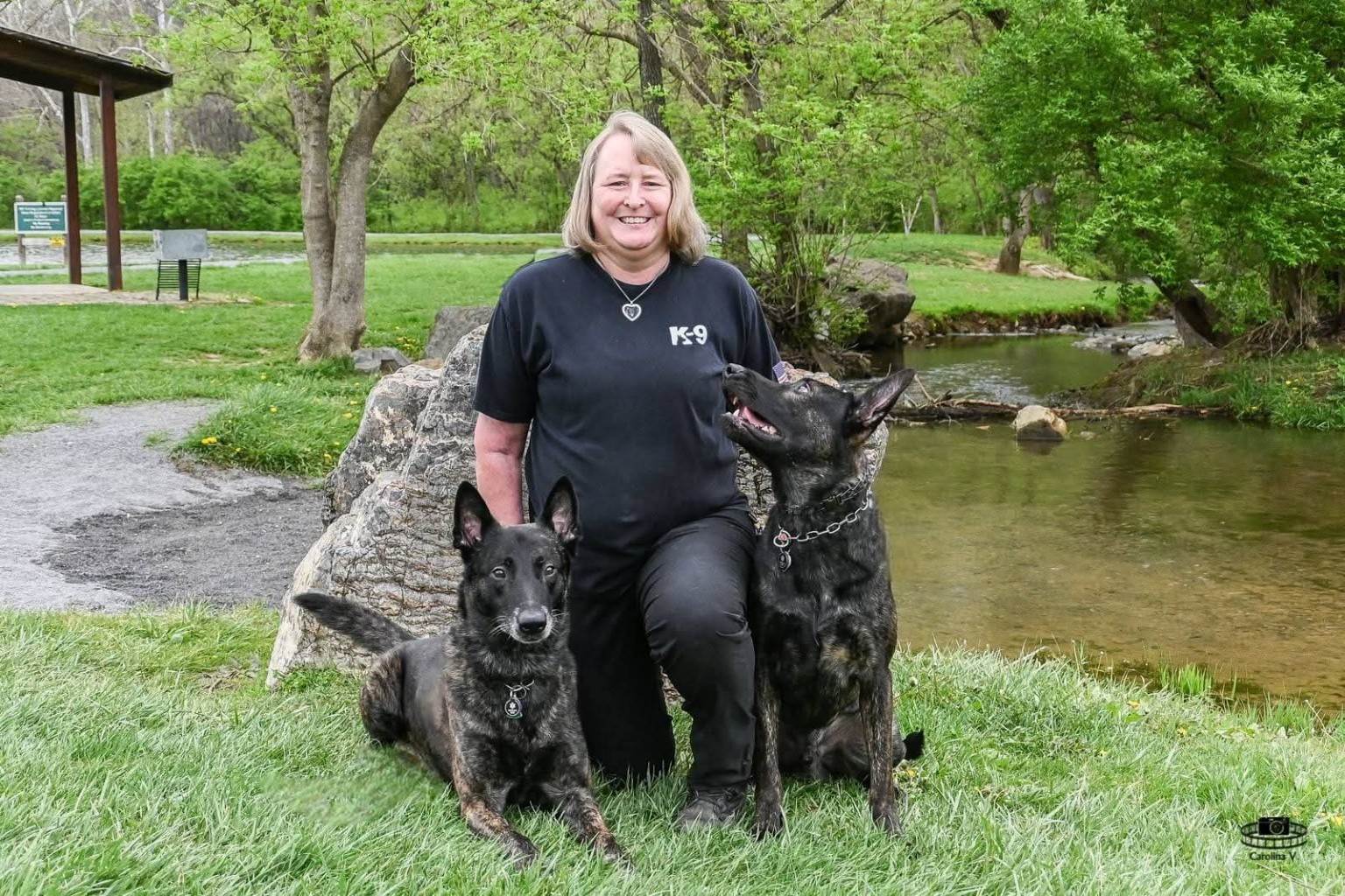 The dogs behind the work